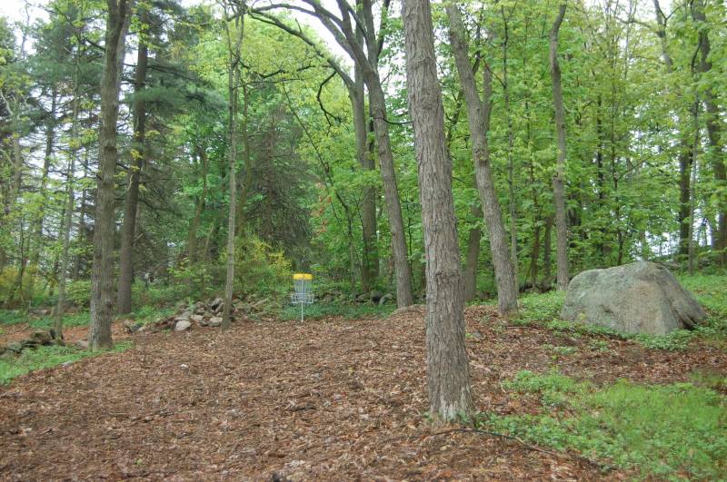 Peabody Disc Golf at Scouting Woods Professional Disc Golf Association